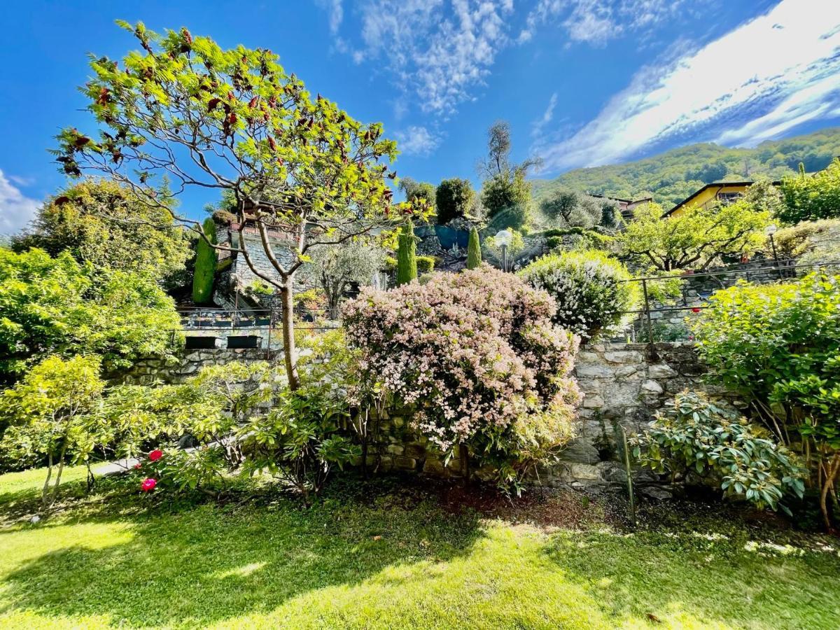 Eden Sul Lago Di Como Nesso Exterior foto